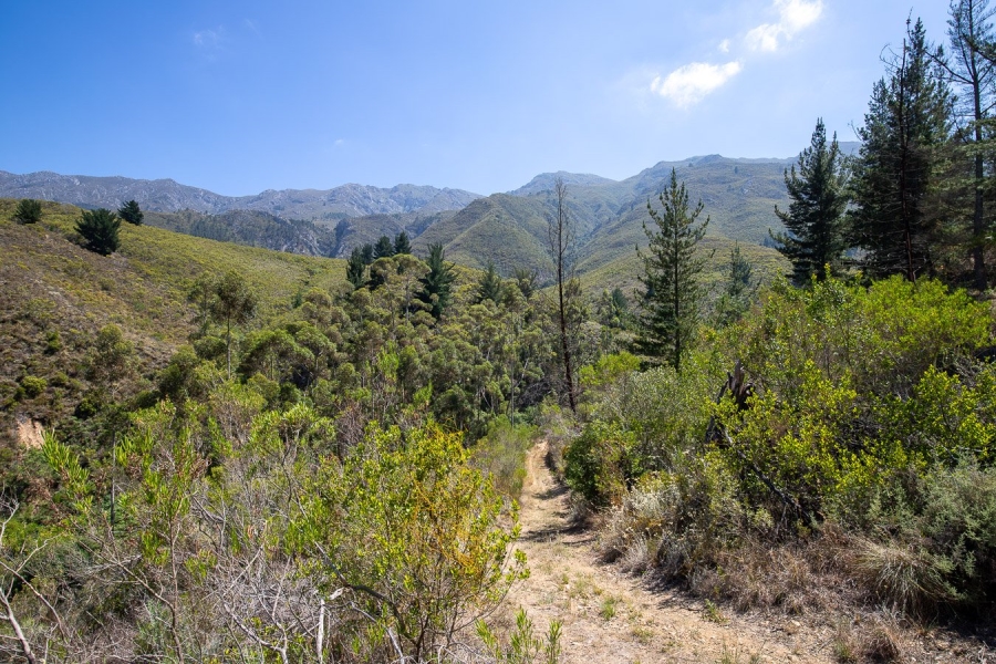 Commercial Property for Sale in Robertson Rural Western Cape